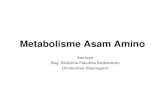 Kuliah Biokimia-Metabolisme Asam Amino