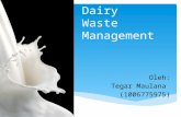 Dairy Product Presentasi