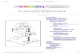 Costruiamo Un Microscopio Stereoscopico