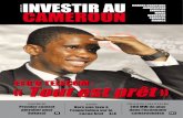 Investir Au Cameroun 4