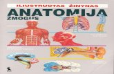 Anatomija - Žmogus - 1999