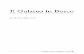 Andrea Zanzotto - Il Galateo in Bosco