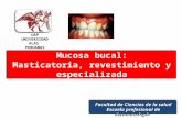 Mucosa Bucal