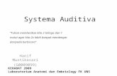 Systema Auditiva.ppt