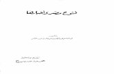 Kitab Futuh Misr wa'l Maghrib wa'l Andalus