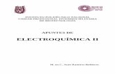 Apuntes de Electroquímica II UPIBI (2009)