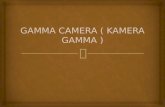 Gamma Camera ( Kamera Gamma )