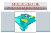 133823359 Muestreo de Pulpas Minerales