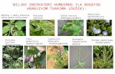 Biljke Indikatori Vrsta Tla