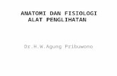 Anatomi Dan Fisiologi Alat Penglihatan