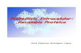 Proteolisis Intracelular Recambio Proteico