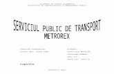 Serviciul Public METROREX2003