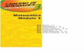 MATEMÁTICA 3 - TERCEIRÃO - TUDO RESOLVIDO