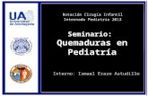 PPT QUEMADURAS 2013