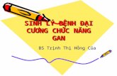 Slb Dc Chuc Nang Gan
