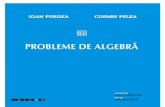 Probleme de Algebra Purdea- Pelea
