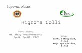 Higroma Colli