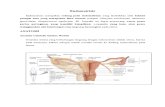 endometritis fix.doc