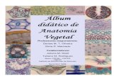 Album Didatico de Anatomia Vegetal