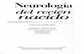 Neurologia Del Recien Nacido Volpe 4a Ed