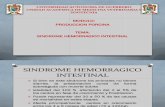 SINDROME HEMORRAGICO EN CERDOS.pdf