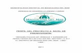 gerencia de desarrollo urbano y obras  - magdalena.pdf