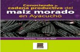 Conociendo La Cadena Productiva Del Maiz Morado en Ayacucho
