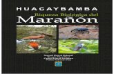 Huacaybamba, riqueza biológica del Marañón BTES