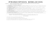 Princípios Bíblicos