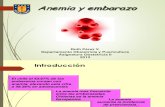 Anemia y Embarazo 2013