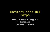 Inestabilidad Del Carpo Final