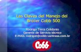 Claves Del Manejo Broiler Cobb