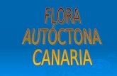 Flora Autoctona Canaria[2]
