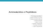 Slide de Aminoácidos de Peptídeos - Química Orgânica