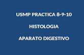 Usmp Practica 8 9 10 - Histologia 2013 - Aparato Digestivo