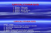 Urolithiasis (Sistem Urogenitalia)