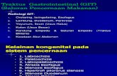 2.6.5 Pemeriksaan Radiologi Kelainan Kongenital Dan Anatomi Didapat Pd GIT