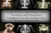 Aspek Medico Legal Pelaku Tindak Kriminal Yang Mengalami Gangguan Jiwa Dan Fungsi Luhur