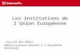 REY PANTZ Les Institutions de l'UE