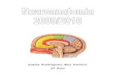 Sebenta Neuroanatomia Parte 1