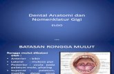 Dental Anatomi Dan Nomenklatur Gigi