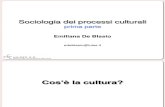 Sociologia dei Processi Culturali 1