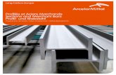 ArcelorMittal PV FR-De 2009-1