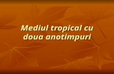 Mediul Tropical Cu Doua Anotimpuri