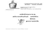 44923068 Obtinerea Alcoolului Etilic Din Porumb
