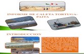 Informe de Caleta Tortuga-paita