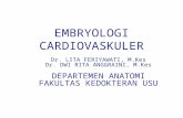 K01 Embriologi Dan Anatomi CV (Anatomi)