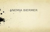 Anemia Biermer