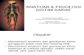 Anatomi & Fisiologi Sistim Saraf Dr. Darma