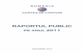 Raportul Public Pe Anul 2011
